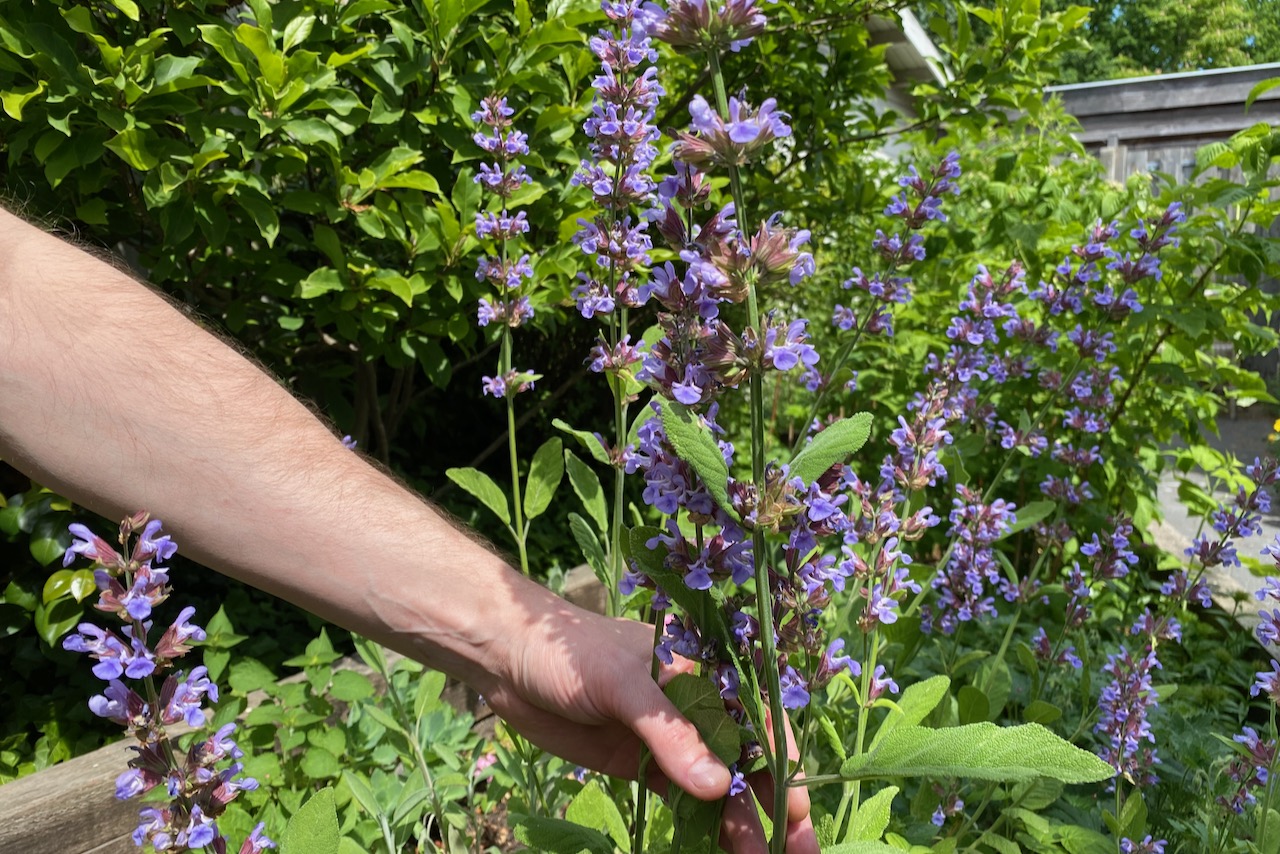 Father’s Day gifts for guys who like gardening